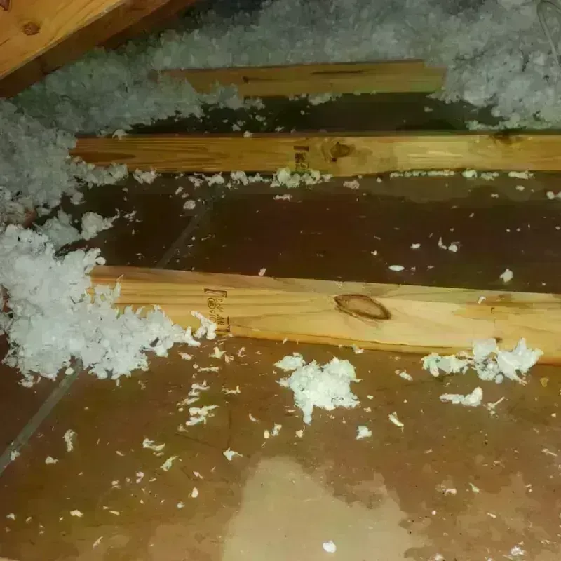 Attic Water Damage in Rockaway Point, NY